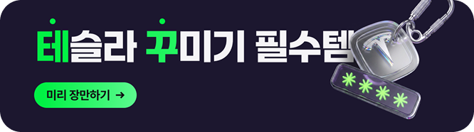 테슬라 카페 회원 추천 필수품